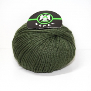 Verde militare col.51