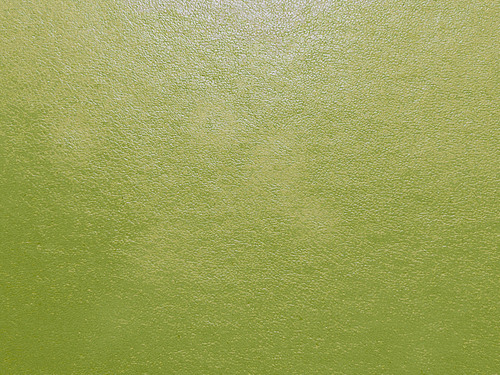 Verde salvia